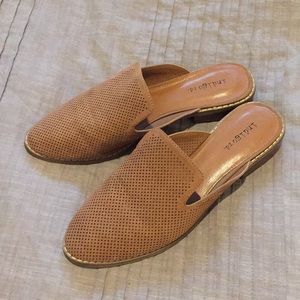 Indigo rd. Hayze taupe MULE